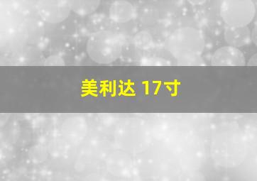 美利达 17寸